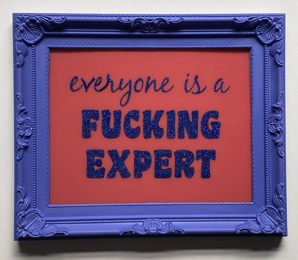 Fucking Experts
