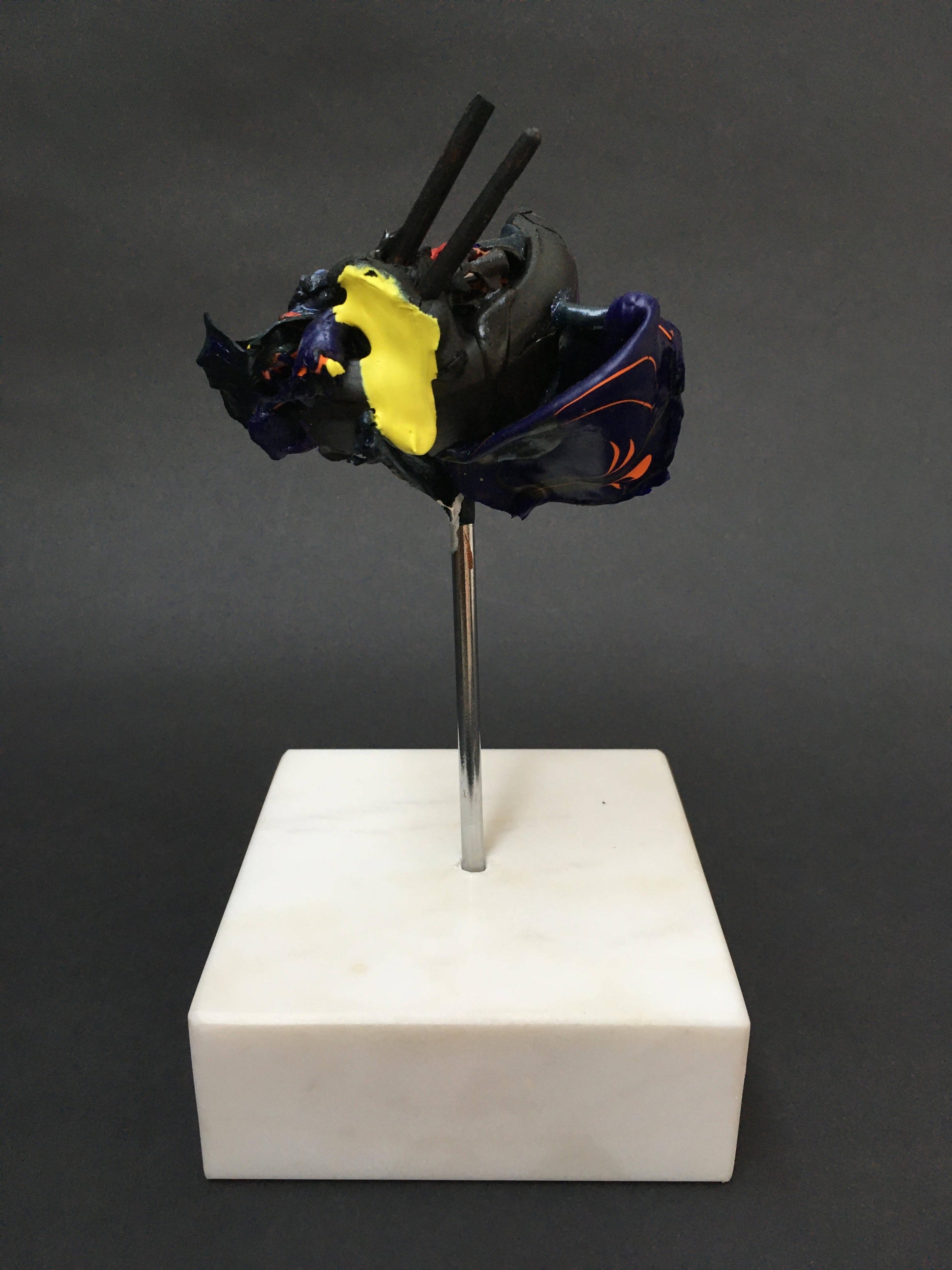 Flying fox