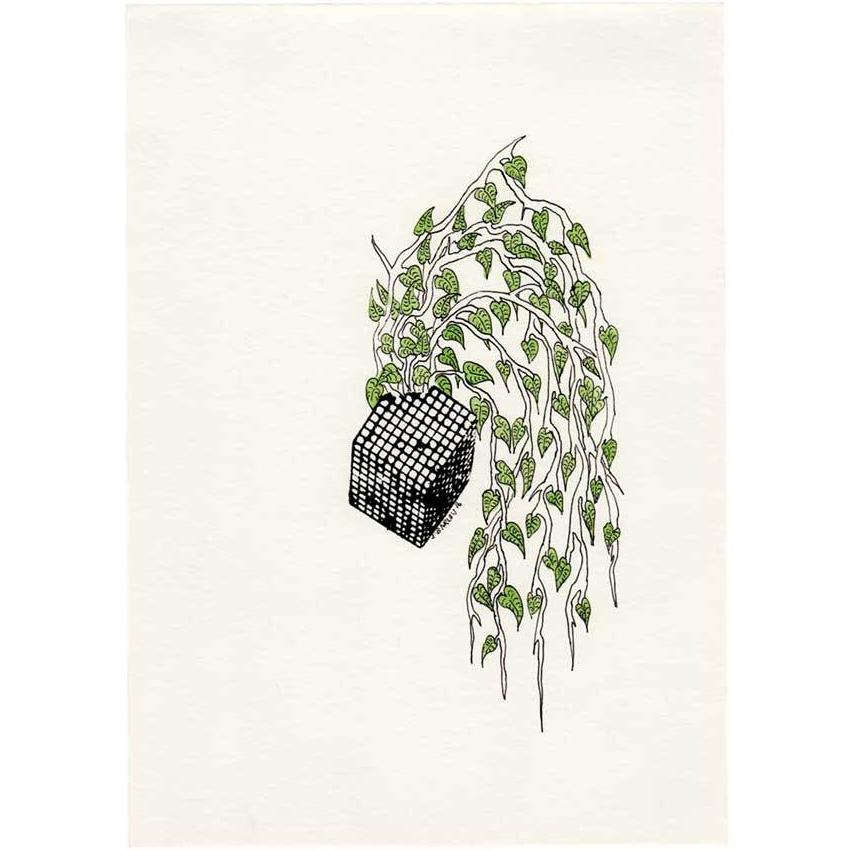 Justine Barlow