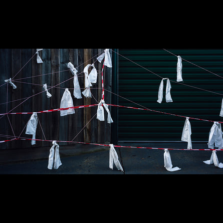 Dan Sibley, untitled, 202