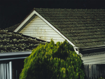 Dan Sibley, Untitled - Nocturnes, 2020